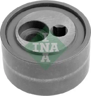 INA 531037310 Alternatör Gergi Rulmanı