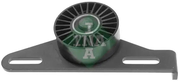 INA 531042710 Alternatör Gergi Rulmanı
