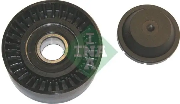 INA 531076010 Alternatör Gergi Rulmanı
