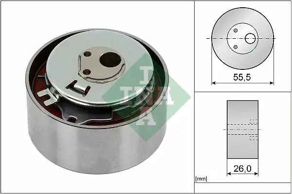 INA 531077810 Triger Gergi Rulmanı