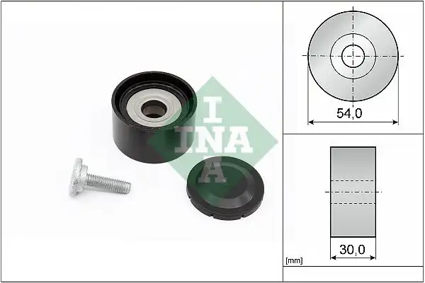 INA 532023410 Alternatör Gergi Rulmanı