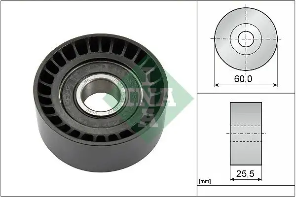 INA 532024310 Alternatör Gergi Rulmanı