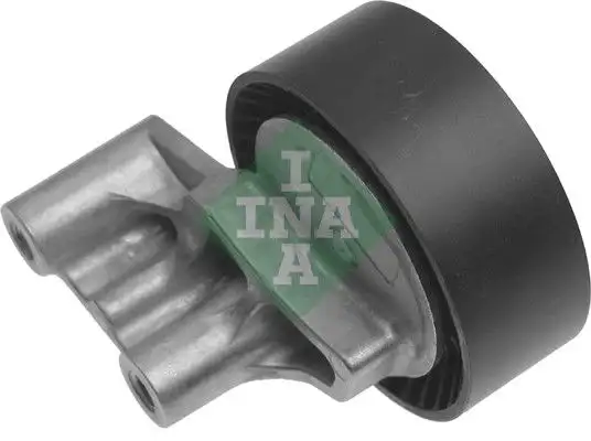 INA 532030310 Alternatör Gergi Rulmanı