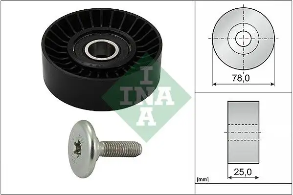 INA 532043910 Alternatör Gergi Rulmanı 96366405