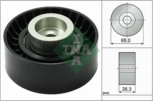 INA 532047010 Alternatör Gergi Rulmanı