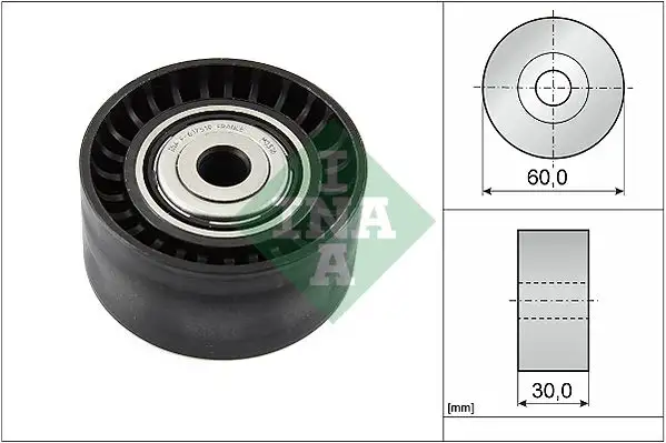 INA 532053410 Alternatör Gergi Rulmanı