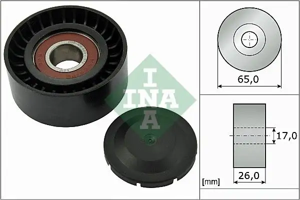 INA 532055710 Alternatör Gergi Rulmanı