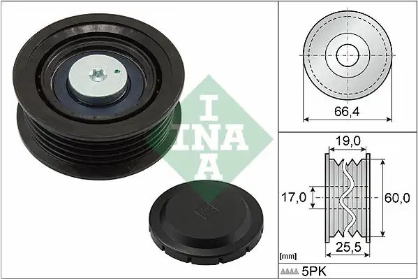 INA 532064210 Alternatör Gergi Rulmanı