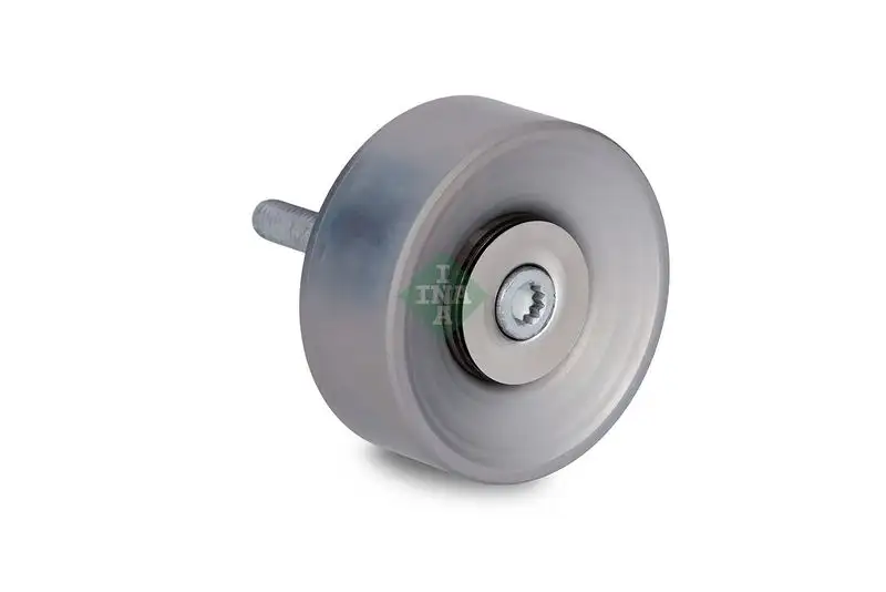 INA 532065310 Alternatör Gergi Rulmanı