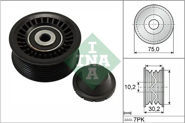 INA 532066810 Alternatör Gergi Rulmanı