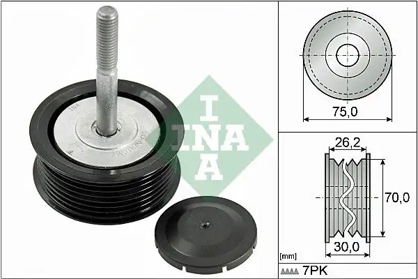 INA 532079210 Alternatör Gergi Rulmanı 95510211910