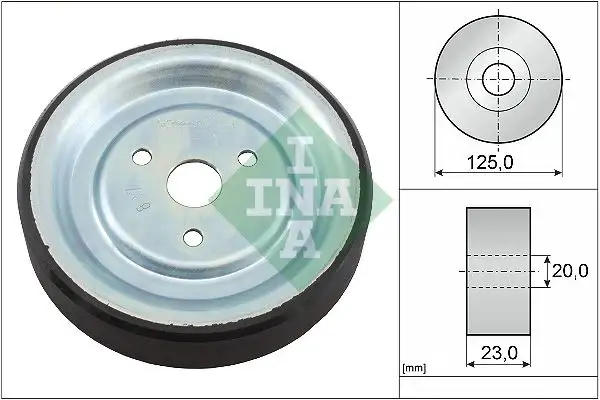 INA 532091210 Alternatör Gergi Rulmanı
