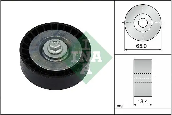 INA 532091310 Alternatör Gergi Rulmanı