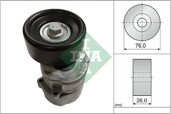 INA 534013530 Kayış Gergi Kütüğü 9146249