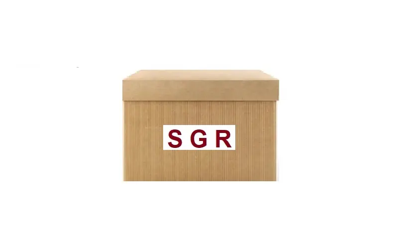 SGR 57491 Silecek Motoru (Arka) 64341901