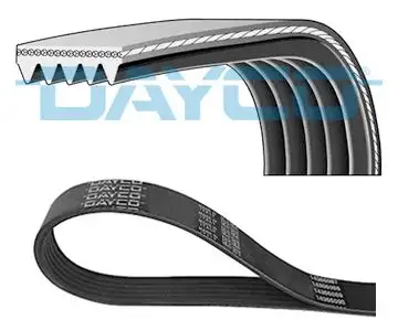 DAYCO 5PK1225 Kayış