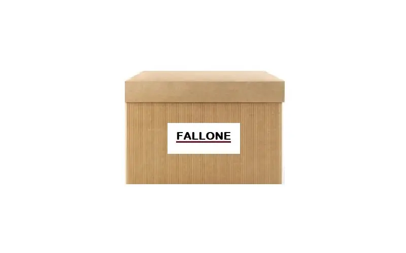 FALLONE 6643 Yağ Pompası 8200171405