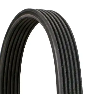 CONTITECH 6DPK1697 (6PK1697) Kayış