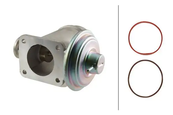 HELLA 6NU010171-921 EGR Valfi 11717804379