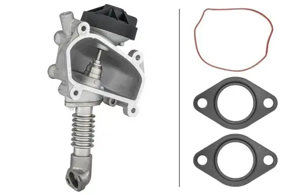 HELLA 6NU014864-641 EGR Valfi A6110900954