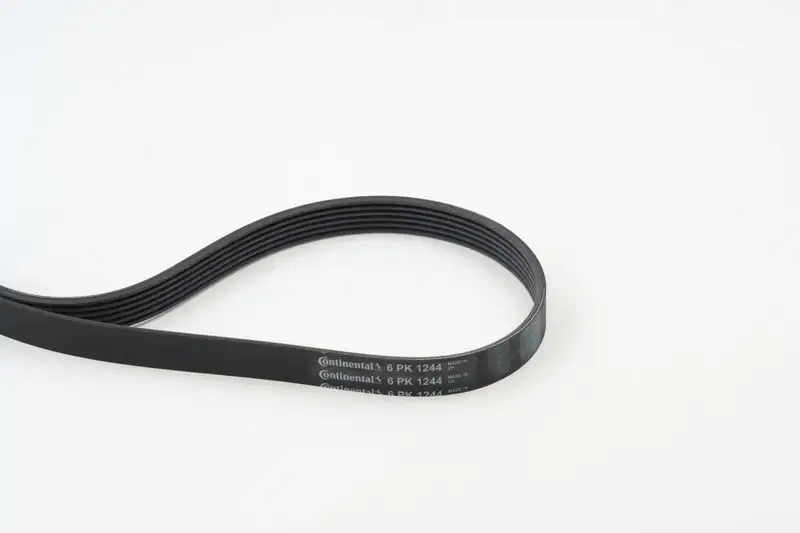 CONTITECH 6PK1244 Kayış