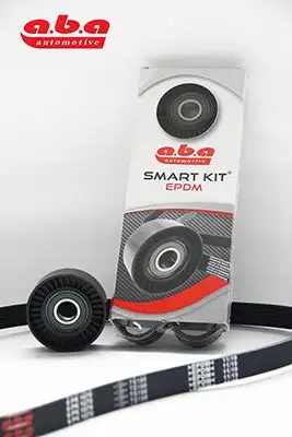 ABA 6PK1310S1 Kayış Seti