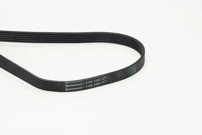 CONTITECH 6PK1590 Kayış