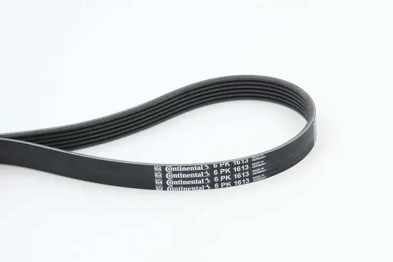 CONTITECH 6PK1613 Kayış
