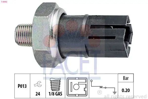 FACET 7.0042 Yağ Müşiri