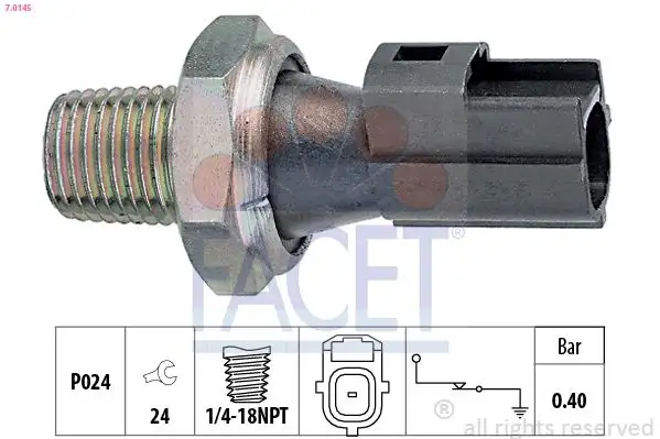 FACET 7.0145 Yağ Müşiri