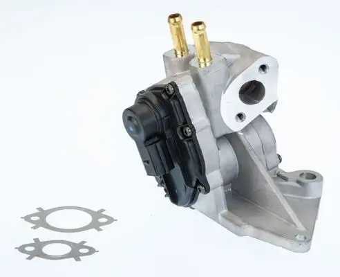 WAHLER 710937D EGR Valfi 06F131503B