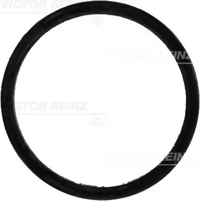 VICTOR REINZ 71-31647-00 Emme Manifold Contası A6041410160