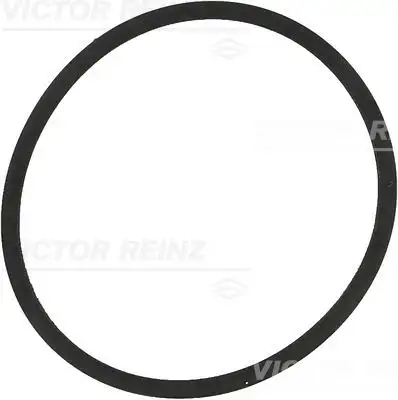 VICTOR REINZ 71-34204-00 Emme Manifold Contası