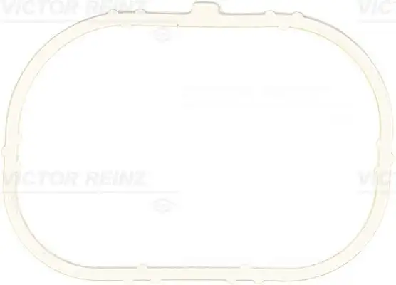 VICTOR REINZ 71-37913-00 Emme Manifold Contası 8200275057