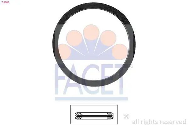 FACET 7.9568 Termostat Contası