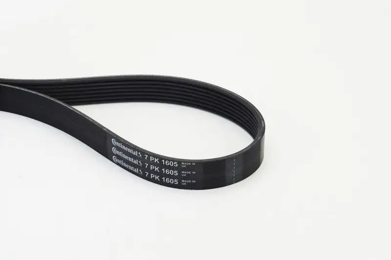 CONTITECH 7PK1605 Kayış