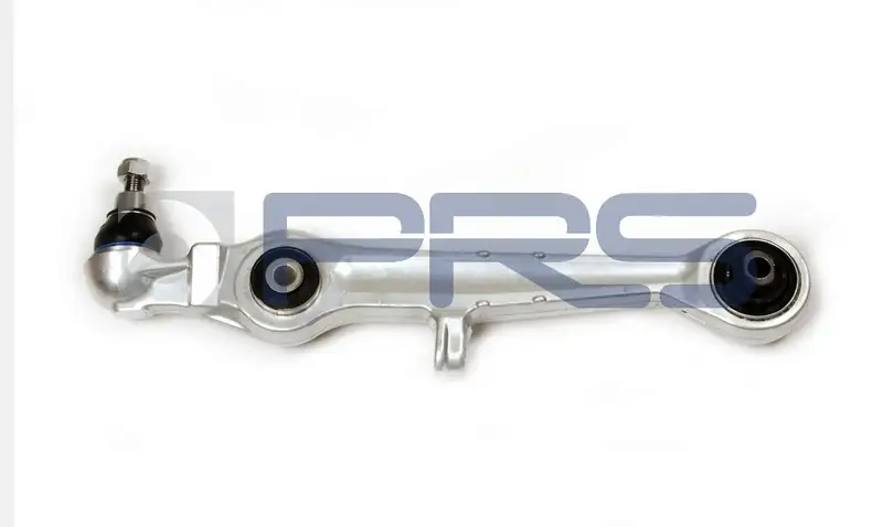PRS 810317 Rotilli Kol (Alt)