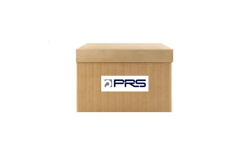 PRS 810546 Alt Salıncak (Sağ) 545006560R