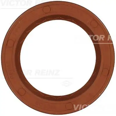 VICTOR REINZ 81-21798-30 Krank Keçesi