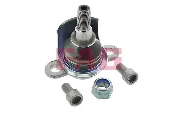 FAG 825009910 Alt Rotil