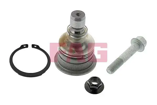 FAG 825030910 Alt Rotil 545300X000