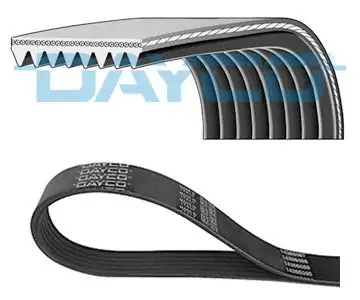 DAYCO 8PK1635 Kayış