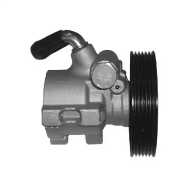 MGA 91900 Direksiyon Pompası 40076C