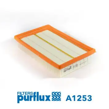 PURFLUX A1253 Hava Filtresi