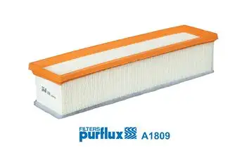 PURFLUX A1809 Hava Filtresi A6260940004