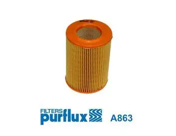 PURFLUX A863 Hava Filtresi