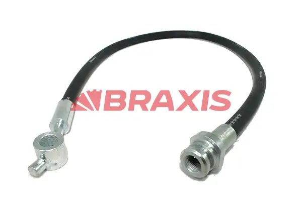 BRAXIS AH0556 Arka Fren Hortumu 462103S410