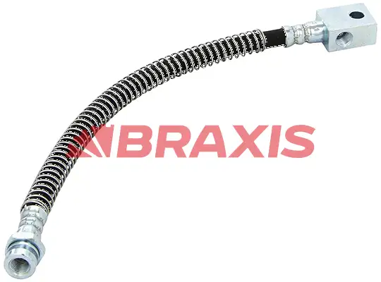 BRAXIS AH0778 Arka Fren Hortumu 4872008050