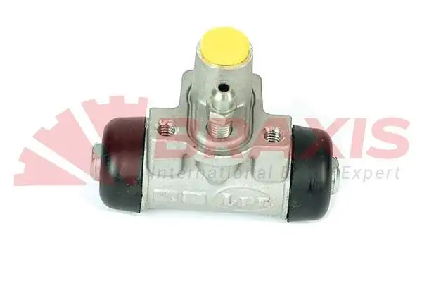 BRAXIS AJ2177 Arka Fren Merkezi 43300SAAG01