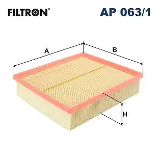 FILTRON AP063/1 Hava Filtresi